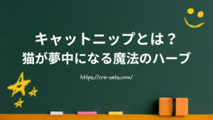 キャットニップとは？猫が夢中になる魔法のハーブ