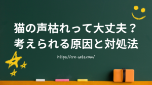猫の声枯れって大丈夫？考えられる原因と対処法