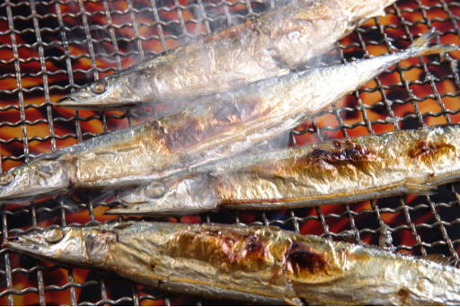 正しいさんまの焼き方手順